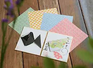 Origami Experience